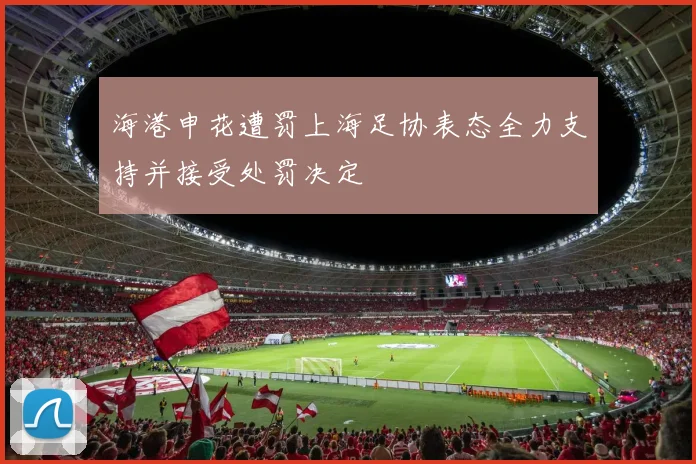 海港申花遭罚上海足协表态全力支持并接受处罚决定